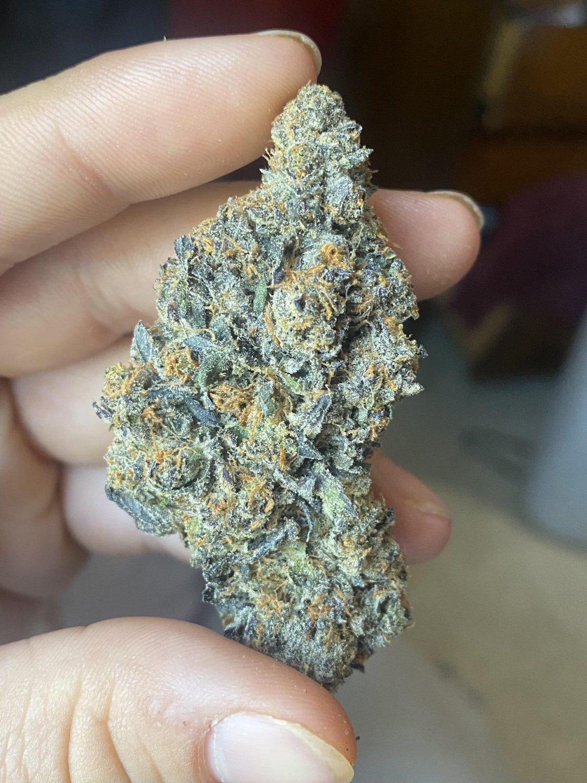 420 Sydney Wickr Buy Weed Cold Coke Charlie Wickr ID Leafedins 420 Sydney Wickr Buy Weed Cold Coke Charlie Wickr ID Leafedins